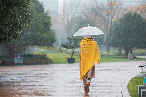 下雨天照片|下雨图片